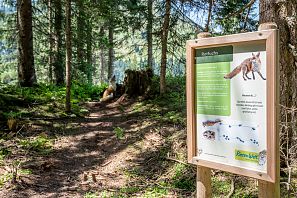 bergbahnen-brixen-riesenwelt-07-2025-dabernig-48