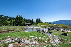bergbahnen-brixen-riesenwelt-07-2025-dabernig-63