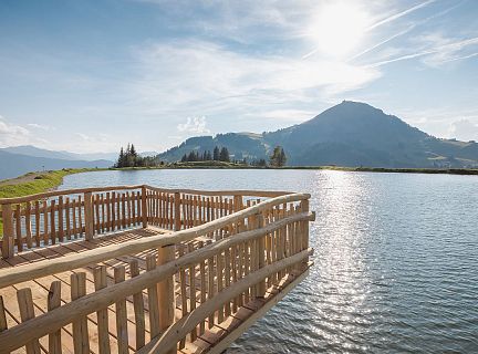 brantlalmsee